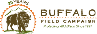Buffalo Field